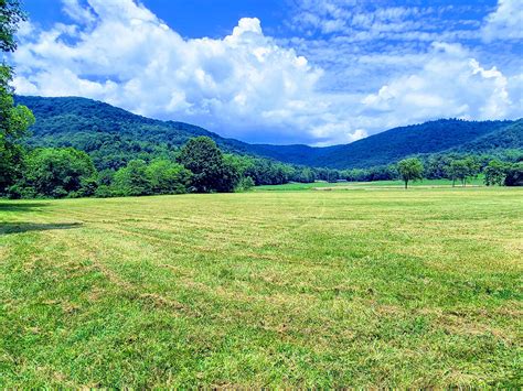 Winfield Scott County Tn Undeveloped Land For Sale Property Id