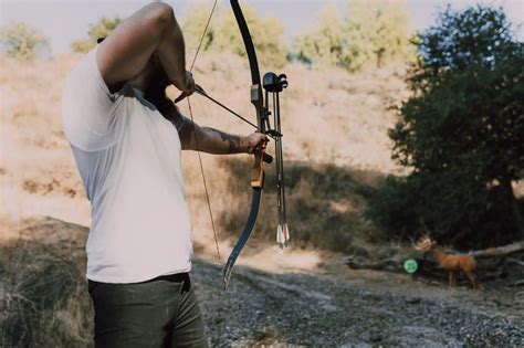 Professional Bow And Arrow Set For Hunting How To Choose The Right
