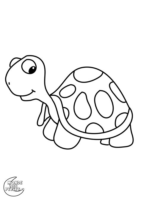 Best 25+ Coloriage tortue ideas on Pinterest  Tortue dessin, Dessin
