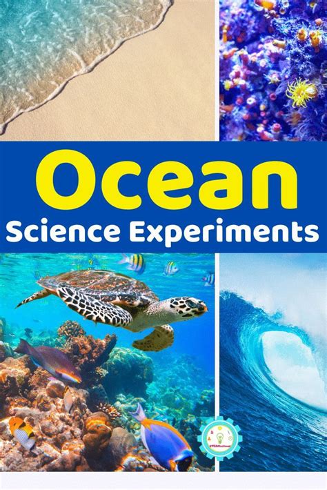 Over 11 Ocean Science Experiments That Feature Everything Kids Need To
