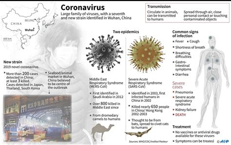 Within a few years, we'll hopefully have enough herd immunity — from a vaccine along with. Coronavirus: All you need to know about the new deadly virus