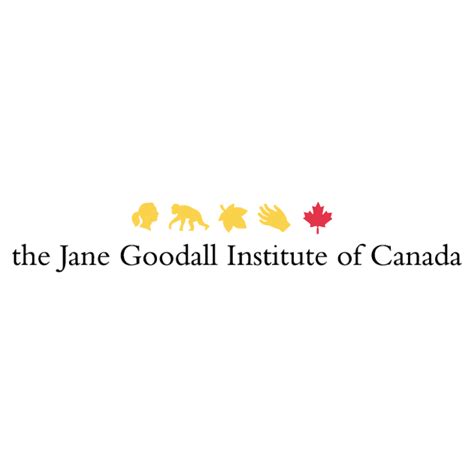 Current Opportunities Ontario Council For International Cooperationontario Council For