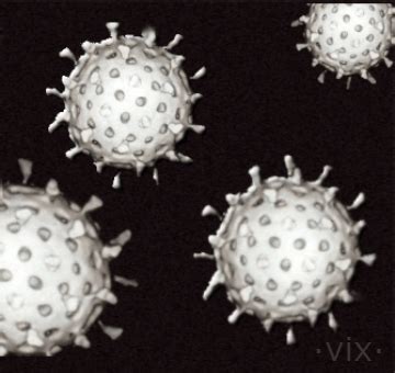 From latent genes to tumours. Epstein-Barr Virus - It's More Than Just The Kiss ...