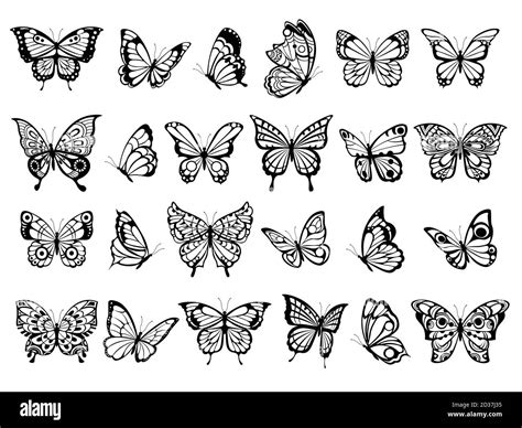 Farfalle Che Volano Disegno Immagini Vettoriali Stock Alamy