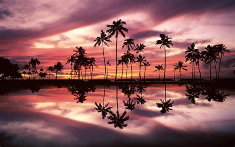1920x1080px 1080p Free Download Pink Sunset Beach Honolulu Hawaii