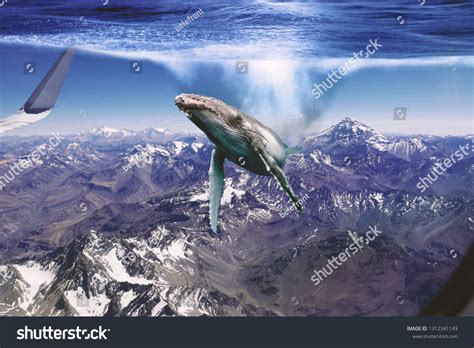 Photo Manipulation Flying Whale Over Andes Stock Photo 1312341143