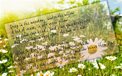 Daisy Poems And Quotes Quotesgram