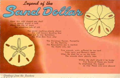 Legend Of The Sand Dollar Global Postcard Sales