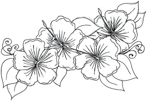 Lady with flower basket, monochrome line art drawing in victorian style, invitation template, announcement, leaflet, flyer, bill i. Flower Basket Colouring Pages at GetColorings.com | Free ...
