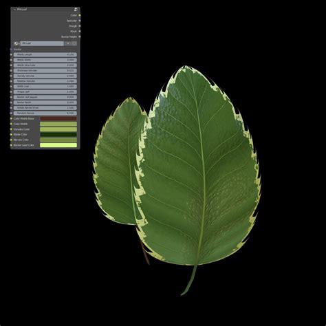 Pm Leaf Free 3d Organic Materials Blenderkit