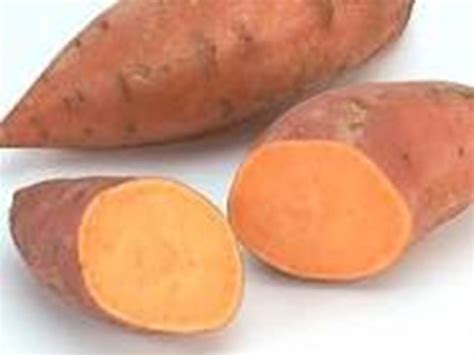 Herlia Looking For Experiences Ubi Jalar Kuning Sweet Potato