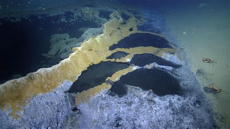 Spectacular Underwater Brine Lake Nautilus Live