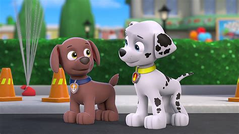 Watch Paw Patrol Season 1 Episode 25 Pups Great Racepups Take The