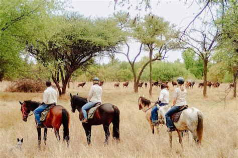 Zimbabwe Horseback Safaris