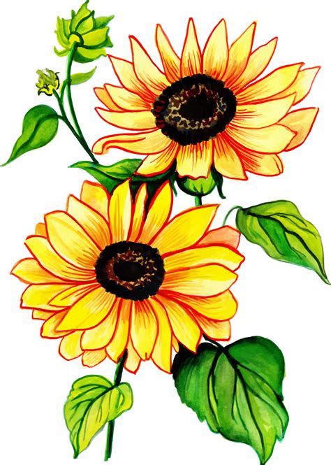 Sunflower Png Cricut Layered Svg Cut File