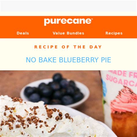 No Bake Blueberry Pie 🥧 Purecane