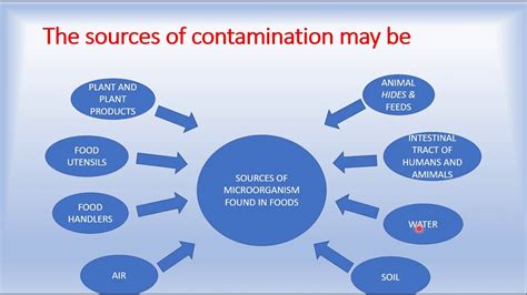 There are three types of food contamination: SOURCES OF CONTAMINATION IN FOOD - YouTube
