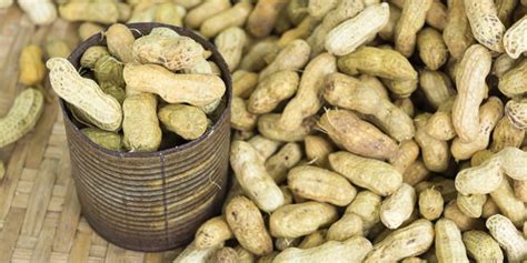 6 Manfaat Mengagumkan Kacang Tanah Buat Kesehatan Tubuh