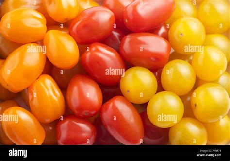 Mixed Varieties Of Cherry Tomatoes Red Yellow And Orange Arranged In