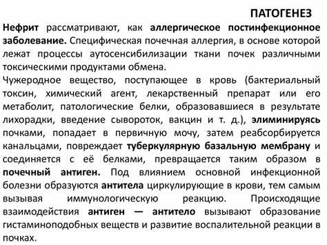 Нефрит - презентация онлайн Картинка - Нефрит - презентация онлайн
