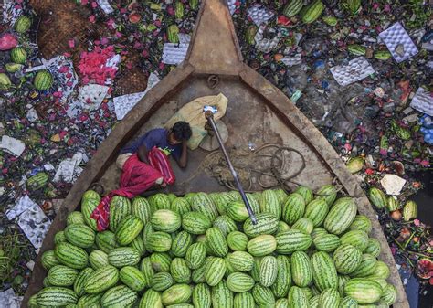 Winners Of The 2018 Environmental Photographer Of The Year Contest