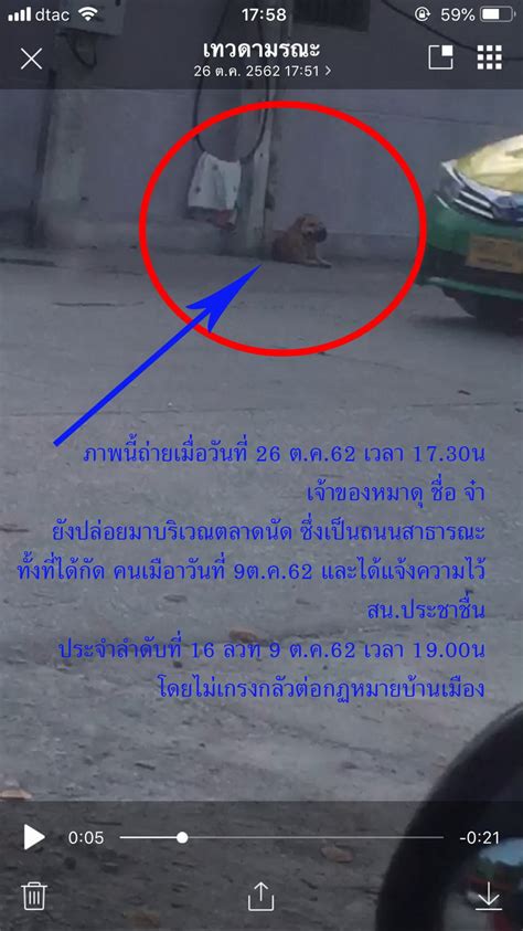 มาตรา 397 ถ้าโจทก์ไม่เข้าชำระค่าน้ำประปา ค่าไฟฟ้าส่วนกลาง แทนจำเลยแล้ว. ปล่อยสุนัขที่ดุร้ายมาเดินไล่กัดคน แจ้งความแล้ว แต่ เจ้าของ ...