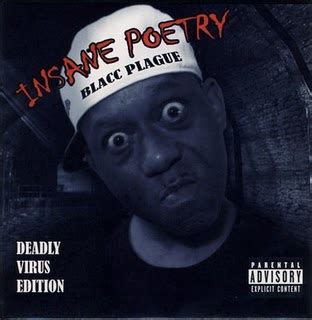 MUSIC: insane poetry