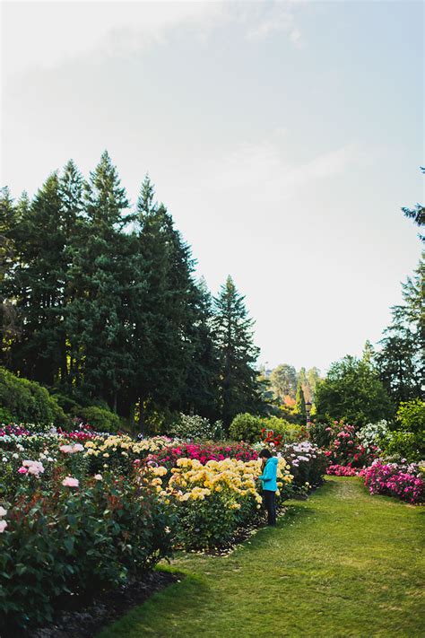 Guests can use a whole range of services: International Rose Test Garden in the City of Roses