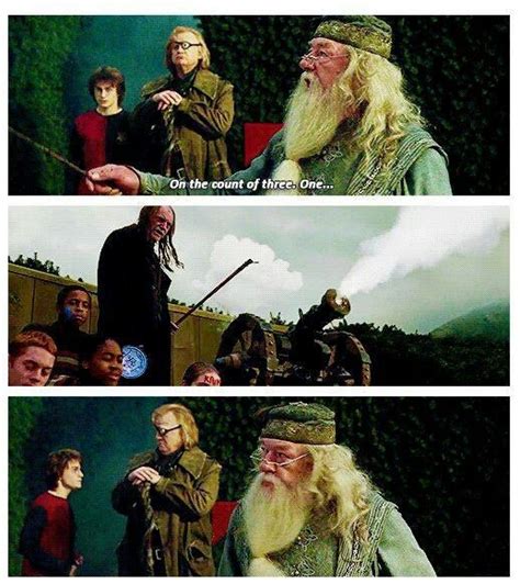 YOU HAD ONE JOB FILCH Harry Potter You Had One Job One Job