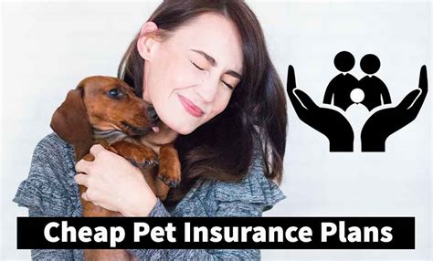 Best Explanation Of Cheap Pet Insurance Plans