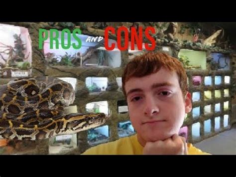 Pros And Cons Of Keeping Burmese Pythons Jimmy Mendham Youtube