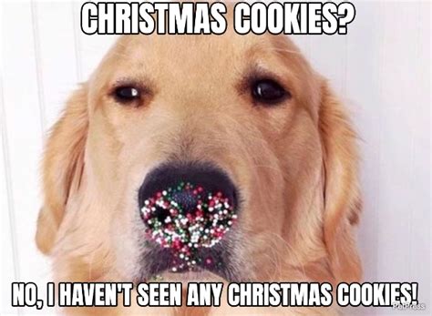 Favorite Christmas Cookie Meme Thebigfaces Meme Presents Mhyh 10th