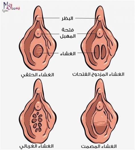 Abbrechen Sättigen Zu Binden شكل المهبل قبل وبعد الفض Abwehrmittel