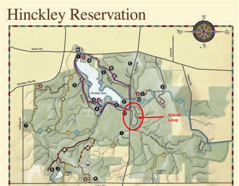 Hinckley Reservation Gravel Loop Medina Ohio Us Birding Hotspots