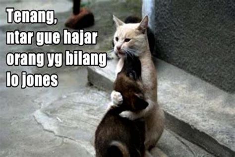 Meme Anjing Dengan Kata Kata Lucu - Humor Lucu Banget