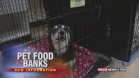 I sure could use one in my area. Area Animal Shelters Set Up Pet Food Banks For Families In ...