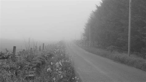 Road Fog Stock Photo Image Of Asphalt Heavy Dangerous 95023032