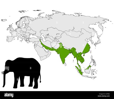 Asian elephant range Stock Photo - Alamy