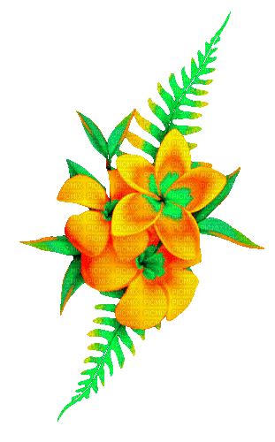 Animatedflowersorangegreen By Kittykatluv65 Flowers Tropical