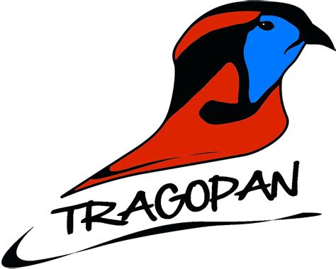 Tragopan V Tarnzelt Entwickelt Für Tier- & Naturfotografie Clipart - Full Size Clipart (#4886610 ...