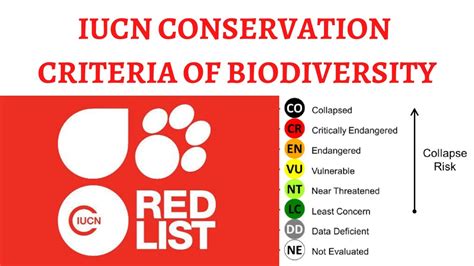 Iucn Red List Of Threatened Species And Classification Extinct