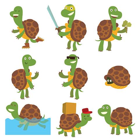 Turtle Standing Up Illustrations Royalty Free Vector Graphics And Clip