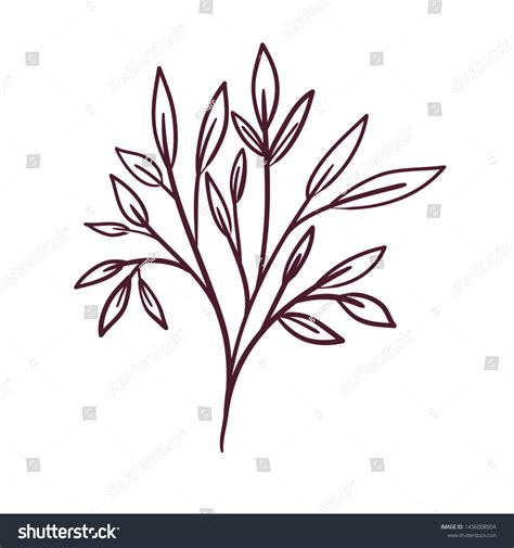 Silhouette Branch Leaves On White Background Stock Vector Royalty Free