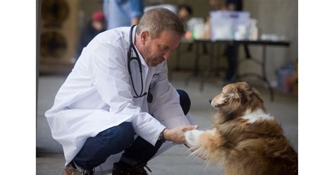 Banfield pet insurance gives a discount on all the services that you would normally pay for annually for things such as vaccines and. Banfield Pet Hospital® Named One Of The 50 Most Community-Minded Companies In The United States