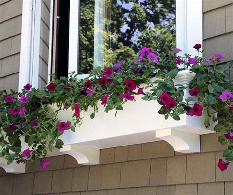 Current price $8.99 $ 8. window flower boxes | Write On New Jersey