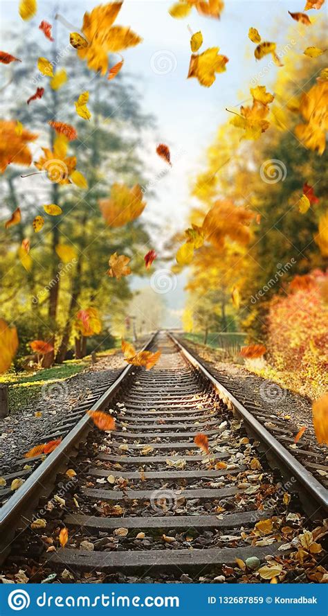 Colorful Autumn Leaves Falling Down On Railway Tracks Stock Image