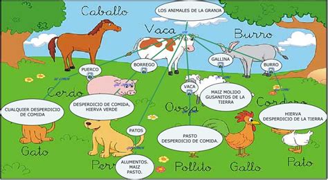 La Comida De Los Animales El Mundo De La Granja