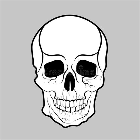 Skull And Crossbones Smiling Stock Vector Illustration Of