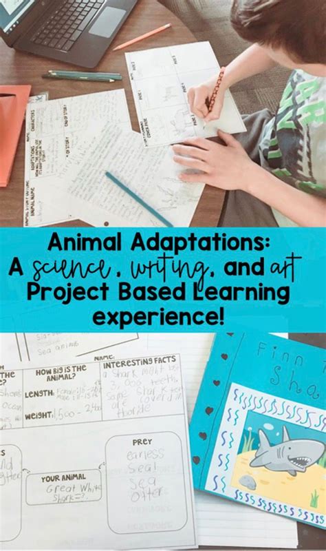 Animal Adaptations A Project Based Learning Experience Project Based