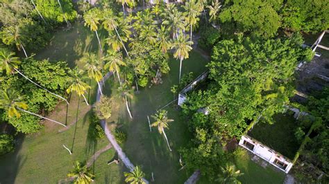 Aerial Move Over Abandoned Building Beside Coconut Trees 22935572 Stock